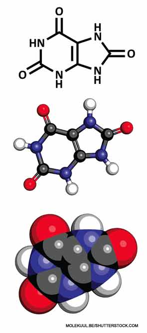 This image shows the chemical structure of a uric acid molecule.