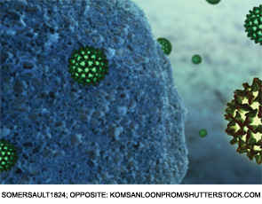 Hepatitis B virus in close contact with human cells.