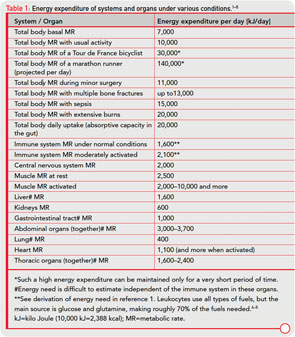 Table 1: Energy expenditure of systems and organs under various conditions.