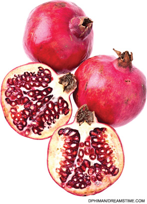 Recent research examined the effects of pomegranate extract on pathways of cartilage catabolism and studied it in an animal model of osteoarthritis.