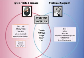 Organ-specific involvement in IgG4-related disease in comparison with systemic Sjögren’s.