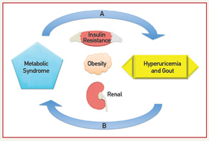 Figure 1: Bidirectional Relationship Between the Metabolic Syndrome, Hyperuricemia & Gout Modulated Through Insulin Resistance, Obesity & the Kidney